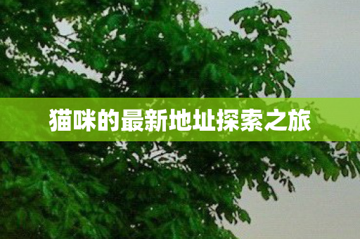 猫咪的最新地址探索之旅图片