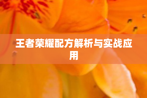 王者荣耀配方解析与实战应用图片