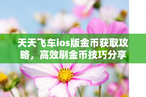 天天飞车ios版金币获取攻略图片