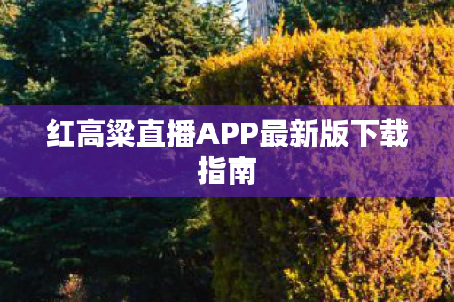 红高粱直播APP最新版下载指南图片