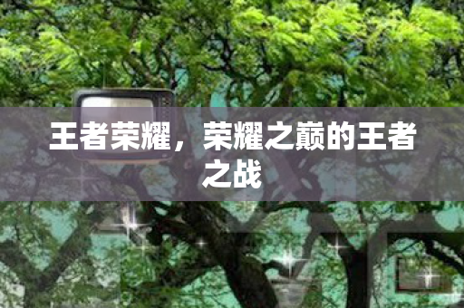 荣耀之巅的王者之战图片