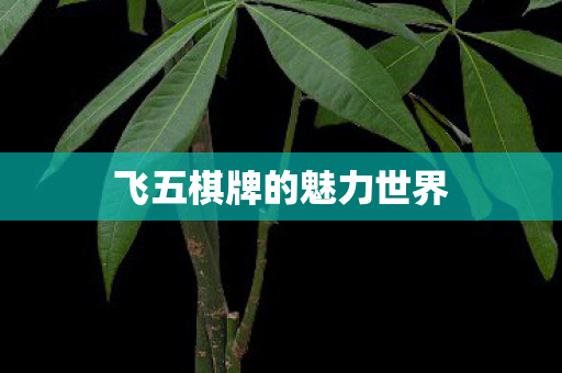 飞五棋牌的魅力世界图片