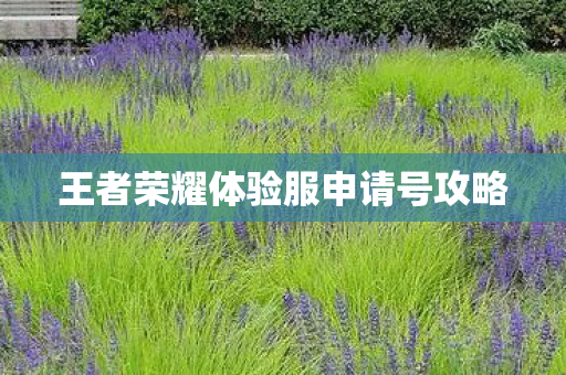 王者荣耀体验服申请号攻略图片