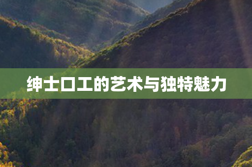 绅士口工的艺术与独特魅力图片