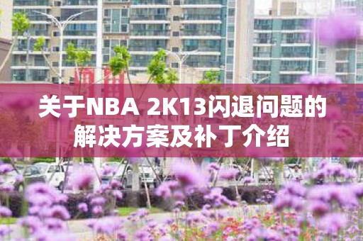 关于NBA 2K13闪退问题的解决方案及补丁介绍图片