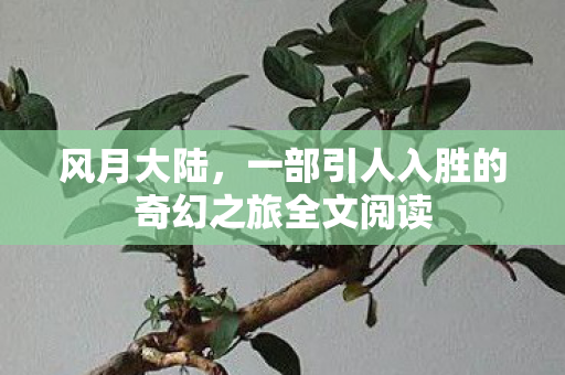 一部引人入胜的奇幻之旅全文阅读图片