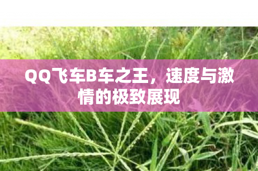 速度与激情的极致展现图片
