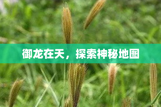 探索神秘地图图片
