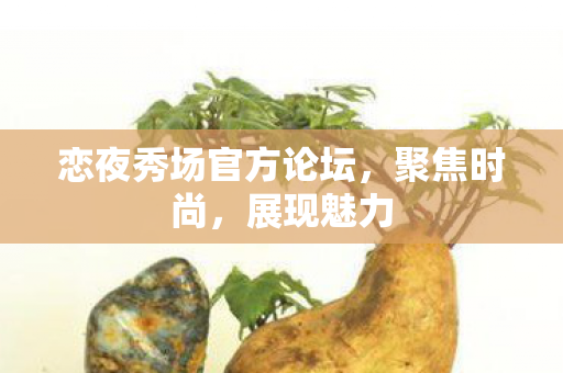 恋夜秀场官方论坛图片