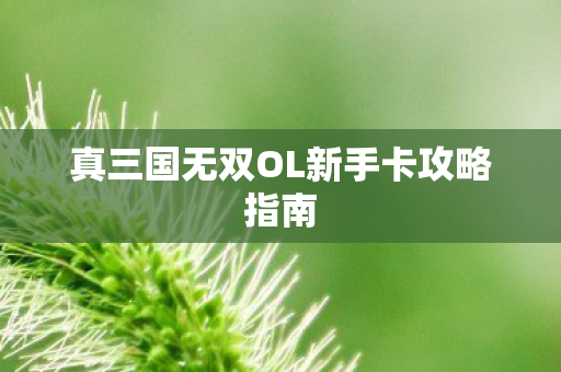真三国无双OL新手卡攻略指南图片