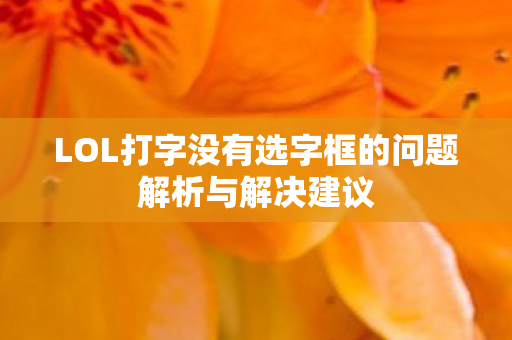 LOL打字没有选字框的问题解析与解决建议图片