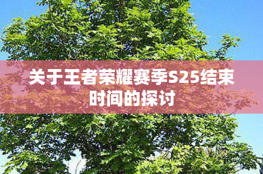 关于王者荣耀赛季S25结束时间的探讨图片