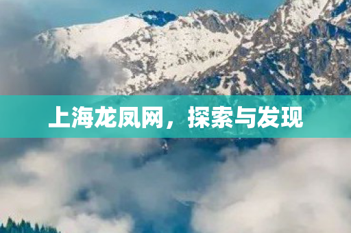 上海龙凤网图片