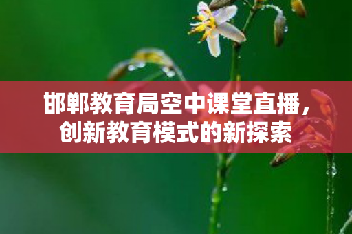 邯郸教育局空中课堂直播图片