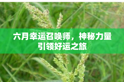 神秘力量引领好运之旅图片