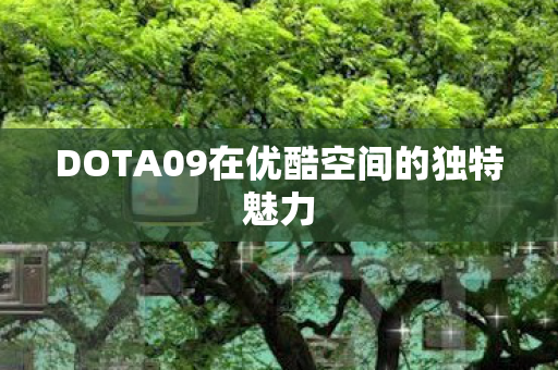 DOTA09在优酷空间的独特魅力图片