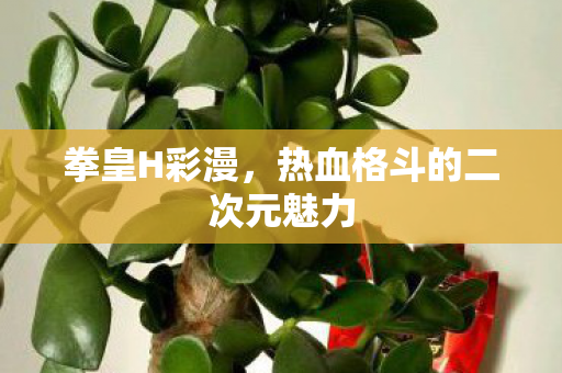 热血格斗的二次元魅力图片