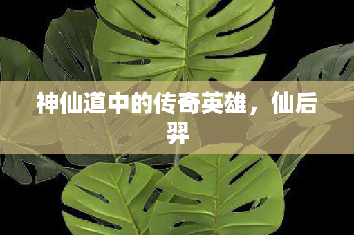 神仙道中的传奇英雄图片