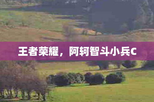 阿轲智斗小兵C图片