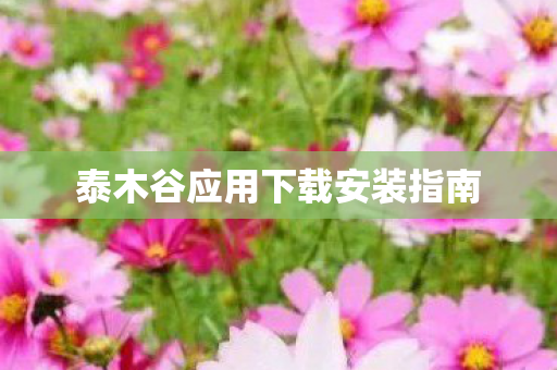 泰木谷应用下载安装指南图片