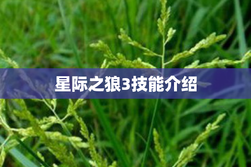 星际之狼3技能介绍图片