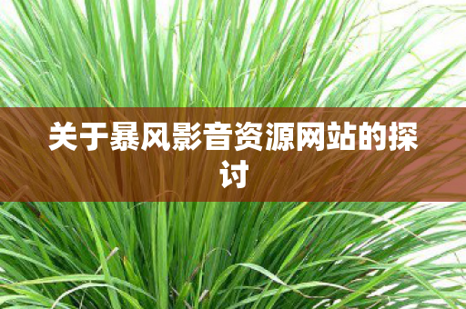 关于暴风影音资源网站的探讨图片