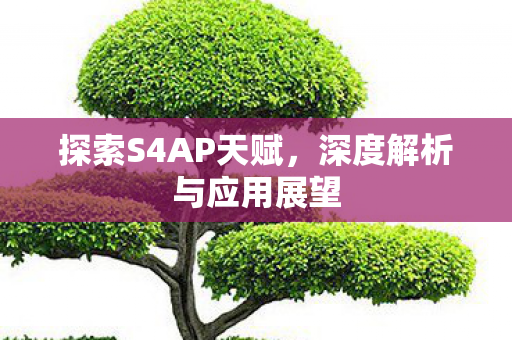 深度解析与应用展望图片
