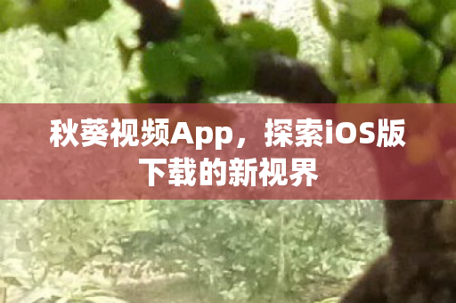探索iOS版下载的新视界图片