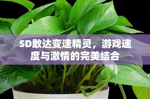 游戏速度与激情的完美结合图片