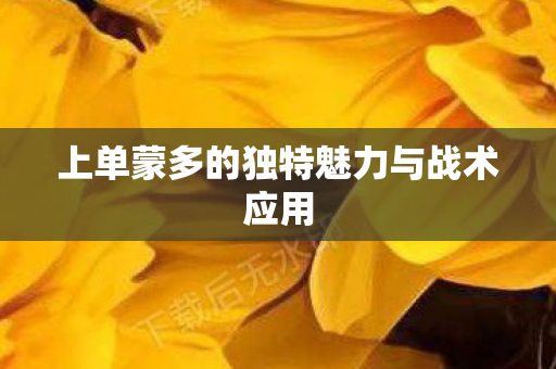 上单蒙多的独特魅力与战术应用图片