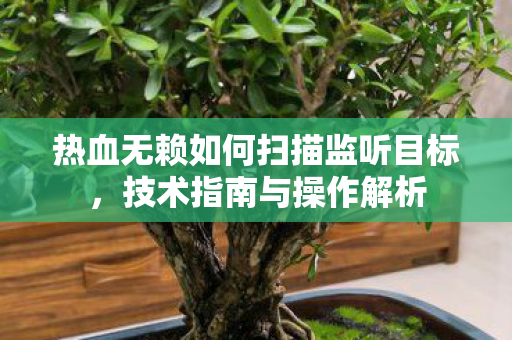 热血无赖如何扫描监听目标图片