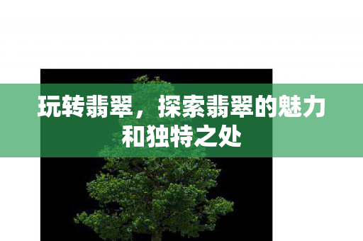 探索翡翠的魅力和独特之处图片
