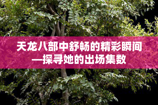 天龙八部中舒畅的精彩瞬间图片