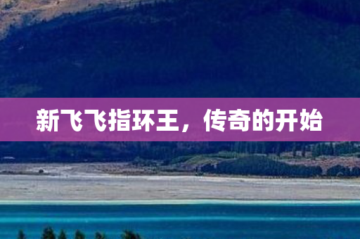 新飞飞指环王图片