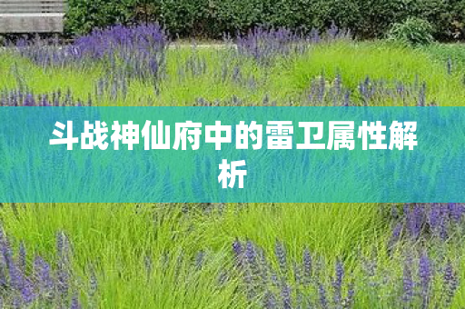 斗战神仙府中的雷卫属性解析图片