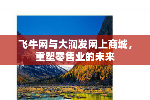 飞牛网与大润发网上商城图片