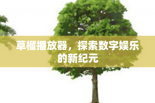 探索数字娱乐的新纪元图片