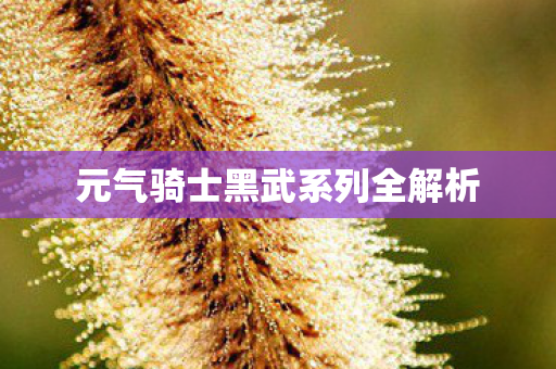 元气骑士黑武系列全解析图片