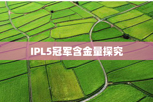 IPL5冠军含金量探究图片