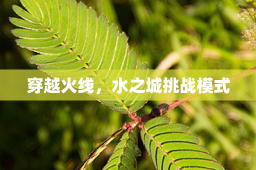 水之城挑战模式图片