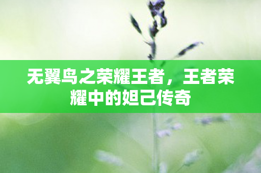 王者荣耀中的妲己传奇图片