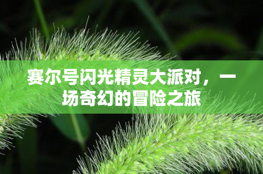 赛尔号闪光精灵大派对图片