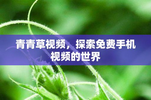 探索免费手机视频的世界图片