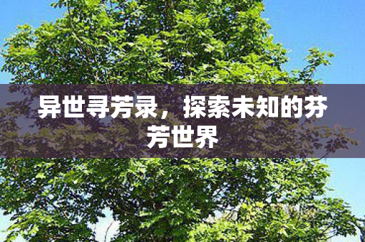 探索未知的芬芳世界图片