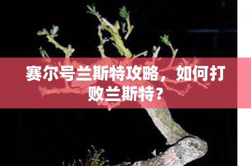赛尔号兰斯特攻略图片