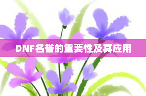 DNF名誉的重要性及其应用图片