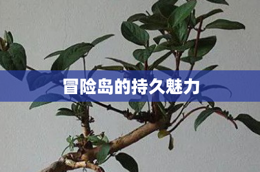 冒险岛的持久魅力图片