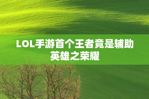 LOL手游首个王者竟是辅助英雄之荣耀图片