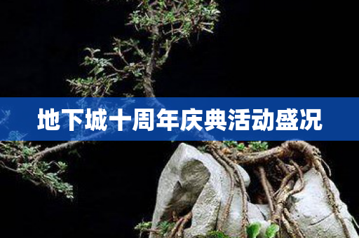 地下城十周年庆典活动盛况图片