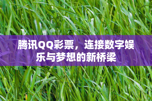 连接数字娱乐与梦想的新桥梁图片